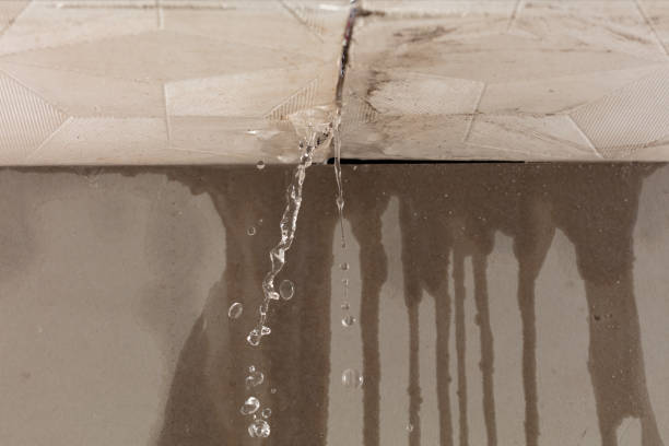 Professional Flood Damage Cleanup technician working in Lexington, OH